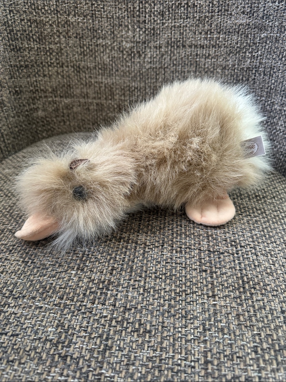 Vintage Ganz Googles Platypus